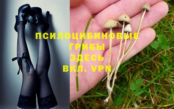 не бодяженный Алзамай