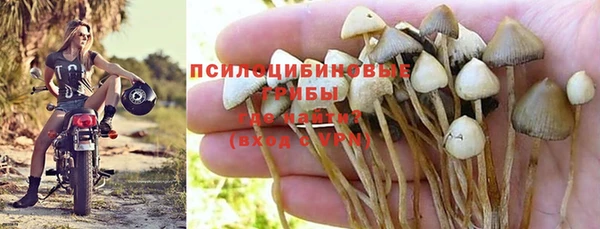 не бодяженный Алзамай