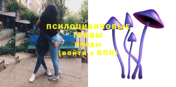 таблы Алексин